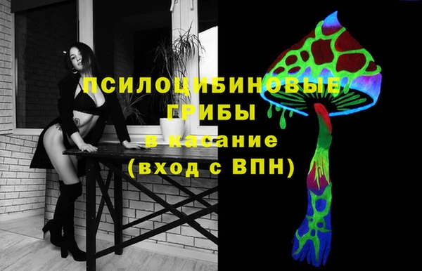 винт Армянск