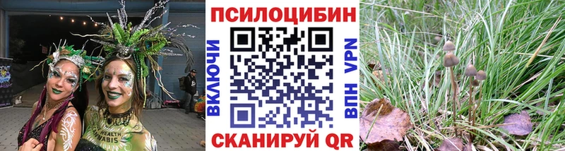 Купить  Ува  Псилоцибиновые грибы ЛСД 